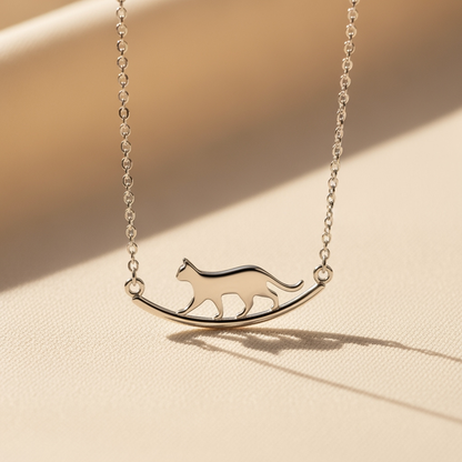 Cat Walk Collection